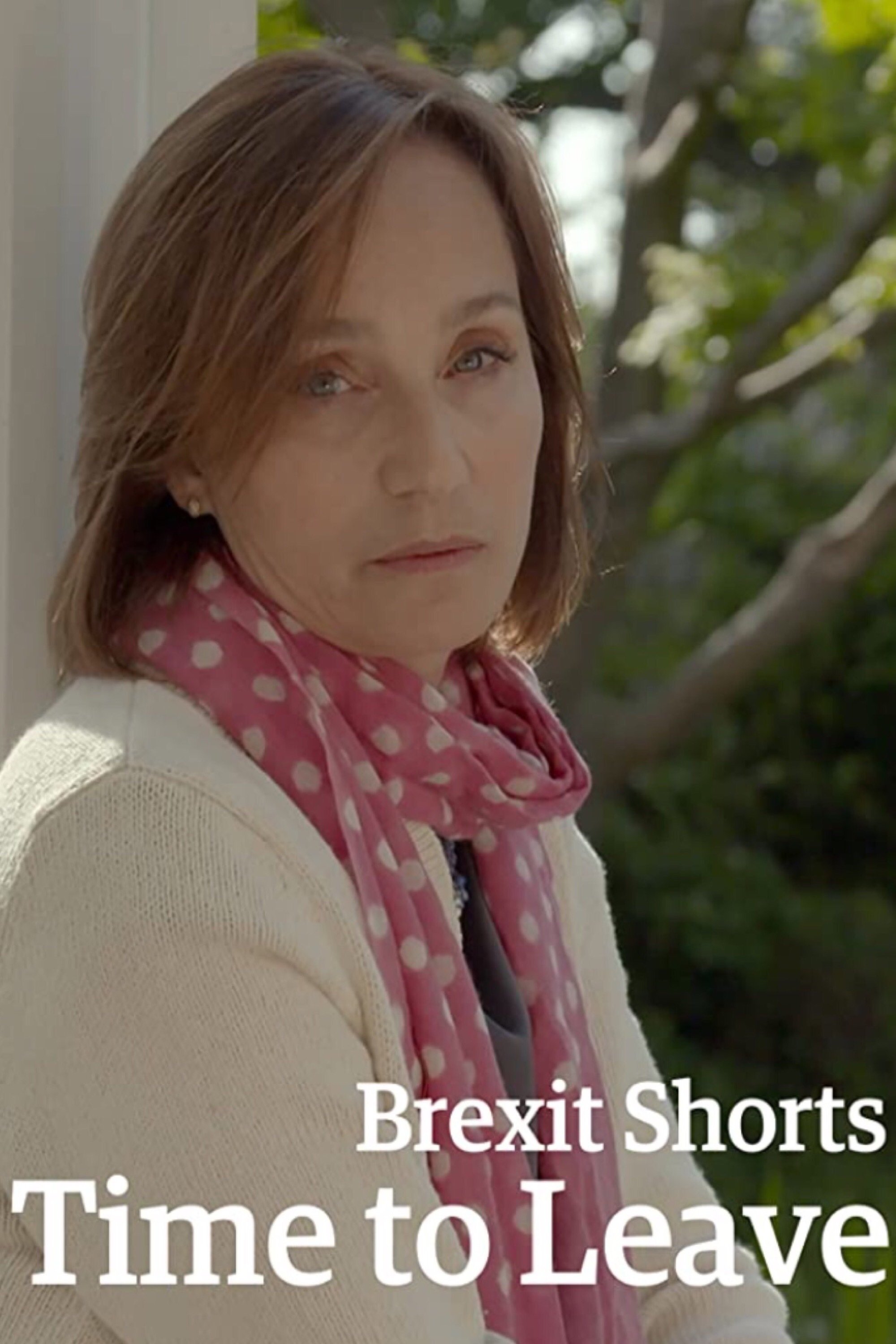 Постер Brexit Shorts: Time to Leave